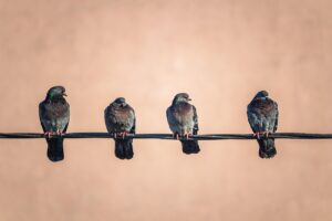 掃除代行の単発依頼が便利な理由とは？
