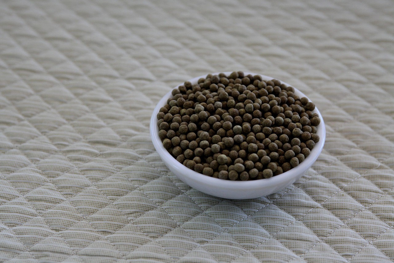 片付けが苦手な人のための家事代行の選び方は？