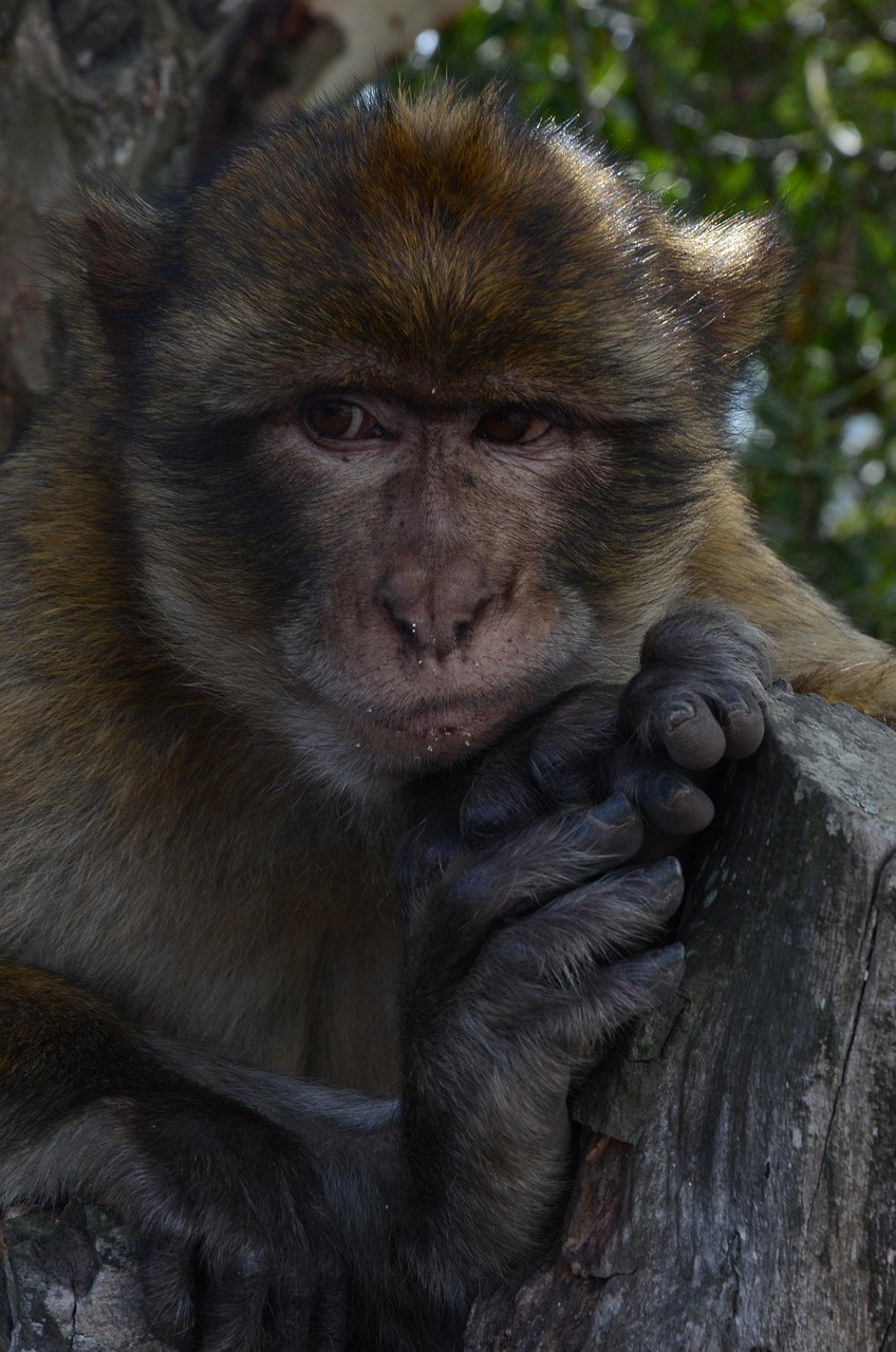 片付けが苦手な人のための家事代行活用法は？